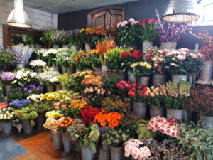 Elisha's Bloemen Borger